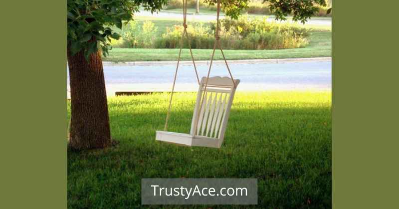 Tree Swing Ideas Chair