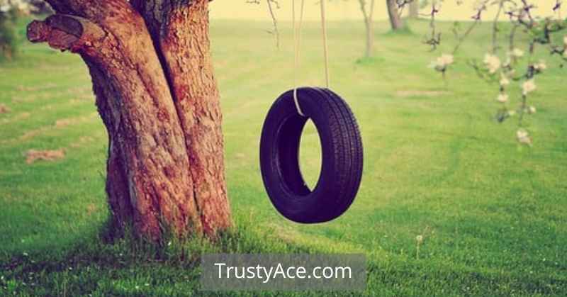 Classic Tire Tree Swing Ideas