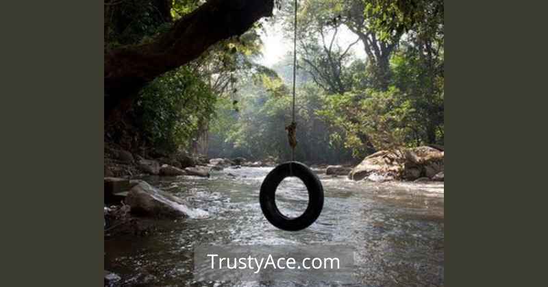 Tire Tree Swing Ideas Over Creeks