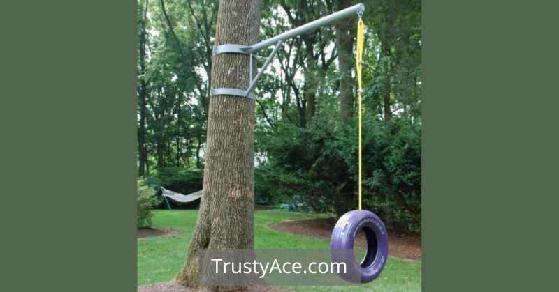 Over Creeks Tree Swing Ideas With Tire