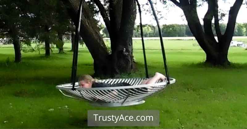 How To Build A Tree Swing