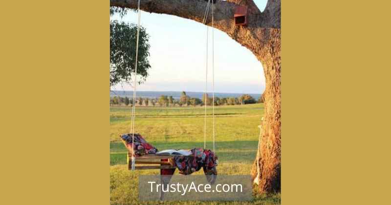 Tree Swing Ideas Relaxing