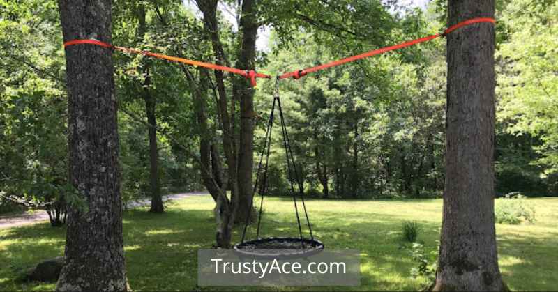 Between Trees Net Tree Swing Ideas