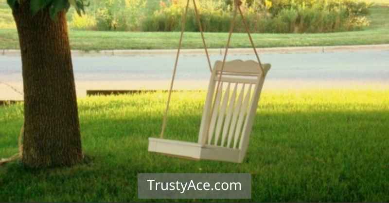 Outdoor Tree Swing Ideas With Chair