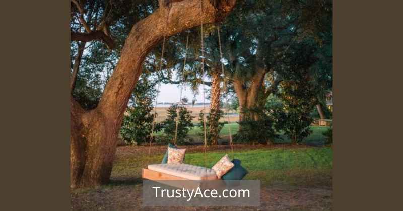 Tree Swing Ideas For Adults Outdoor