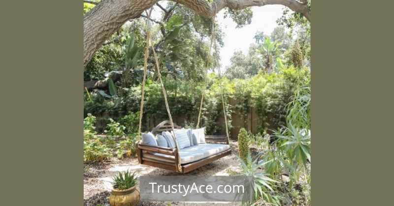 Outdoor Tree Swing Ideas For Adults