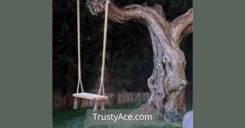 Tree Swing Ideas With Rope