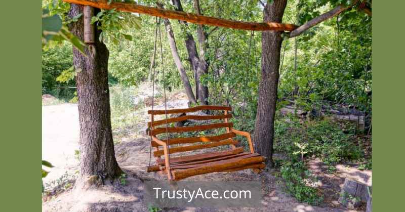 Rustic Outdoor Tree Swing Ideas