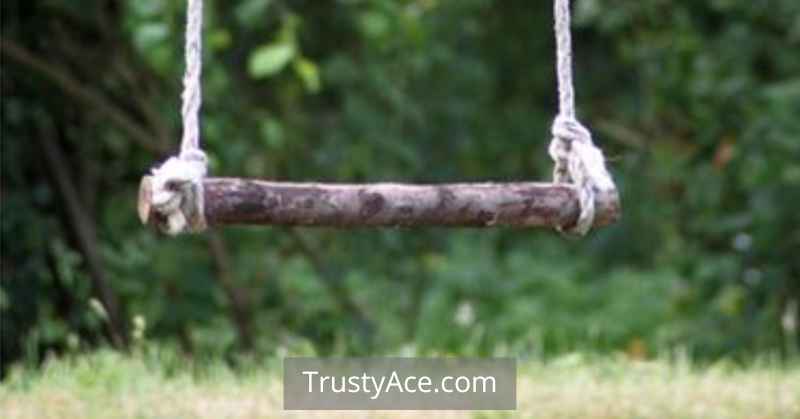 Rustic Tree Swing Ideas Backyard