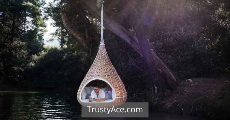 Best Tree Swing Ideas Single Rope