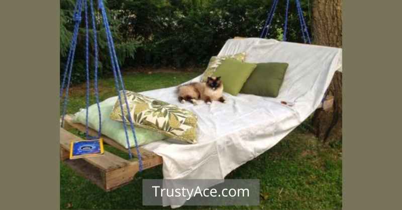 Tree Swing Ideas Featuring Bed