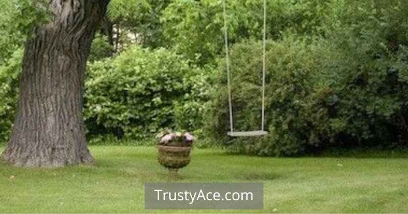 Homemade Tree Swing Ideas