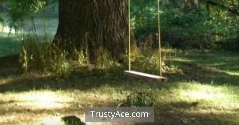 Tree Swing Ideas Wooden