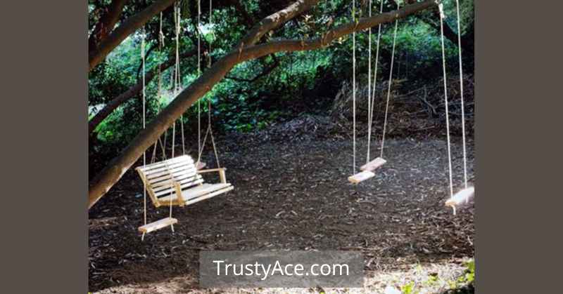 Outdoor Backyard Tree Swing Ideas