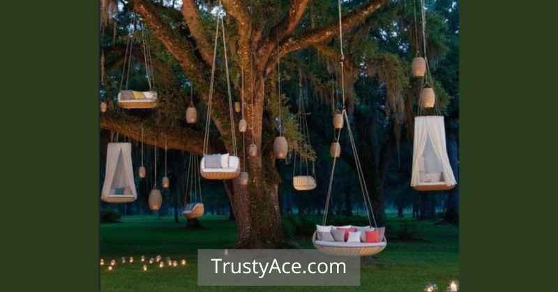 Tree Swing Ideas Outdoor Backyard