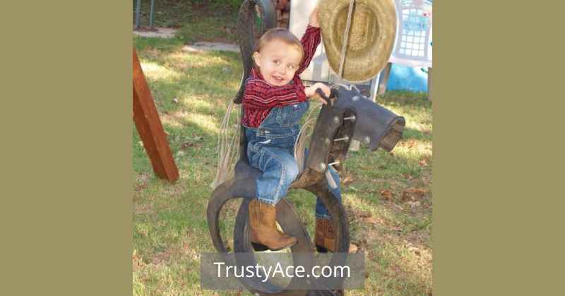 Tree Swing Ideas Tire Horse