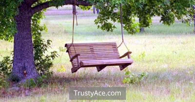 Bench Tree Swing Ideas