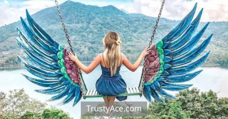 Tree Swing Ideas That Have Wings