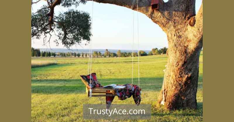 DIY Tree Swing Ideas With Pallets