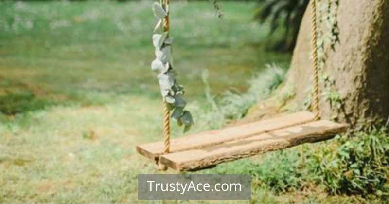 Tree Swing Ideas Outdoor