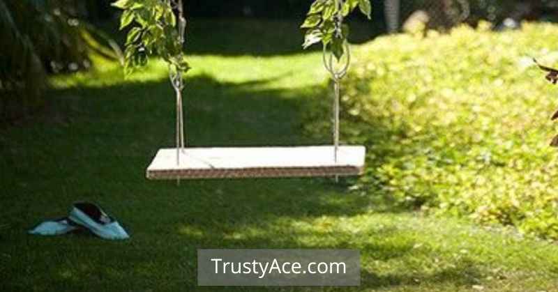 Outdoor Tree Swing Ideas