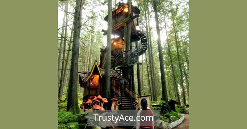 Backyard Treehouse Treehouse Ideas