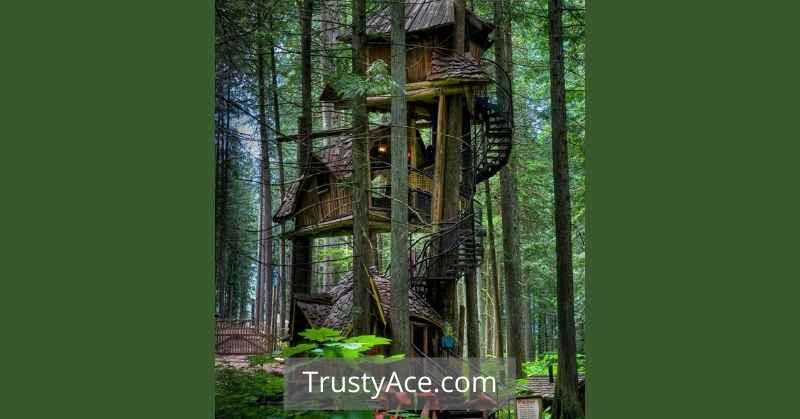 Unique Treehouse Ideas