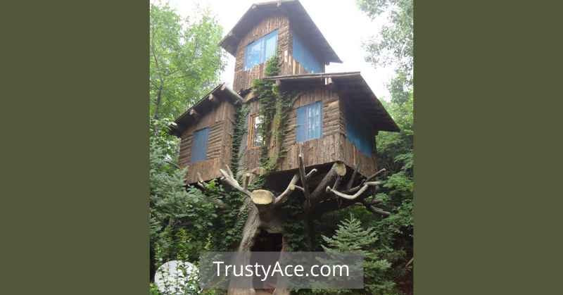 Treehouse Ideas DIY