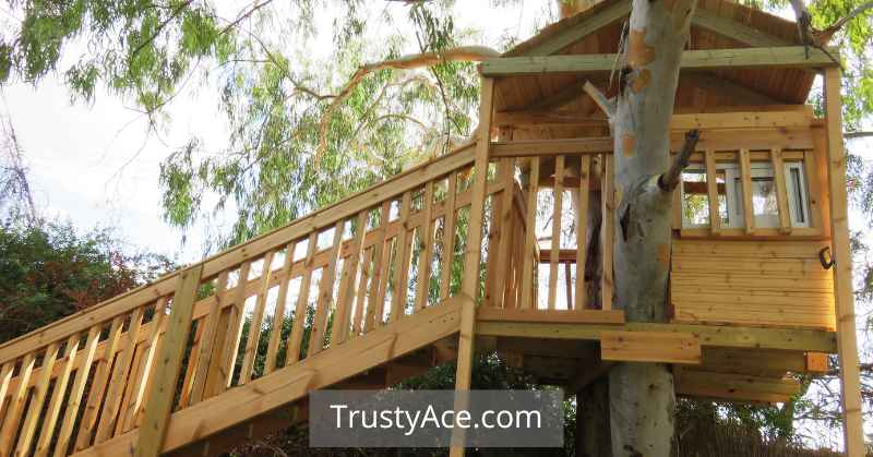 Basic Treehouse Ideas