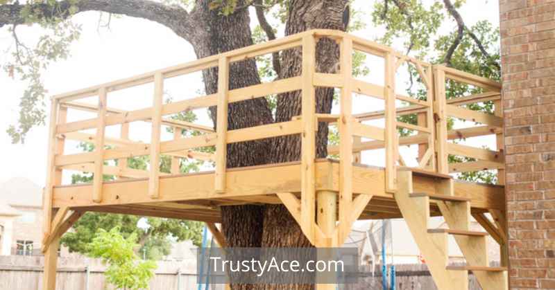 Best Treehouse Ideas