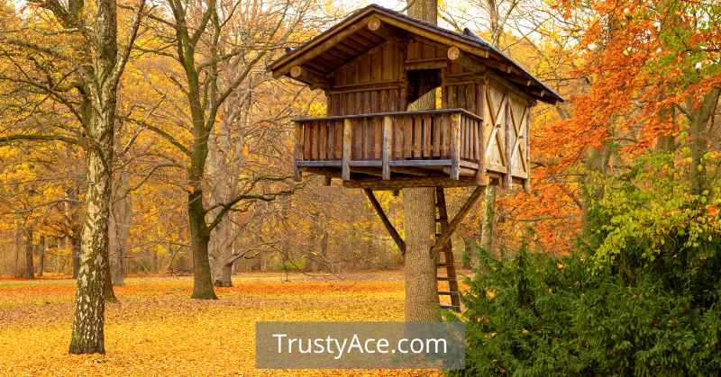 How To Build A Tree House