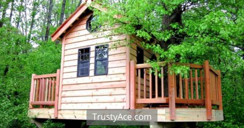 Buy Backyard Treehouse