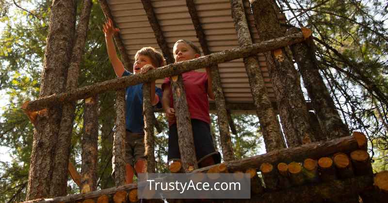 Backyard Treehouse Fort