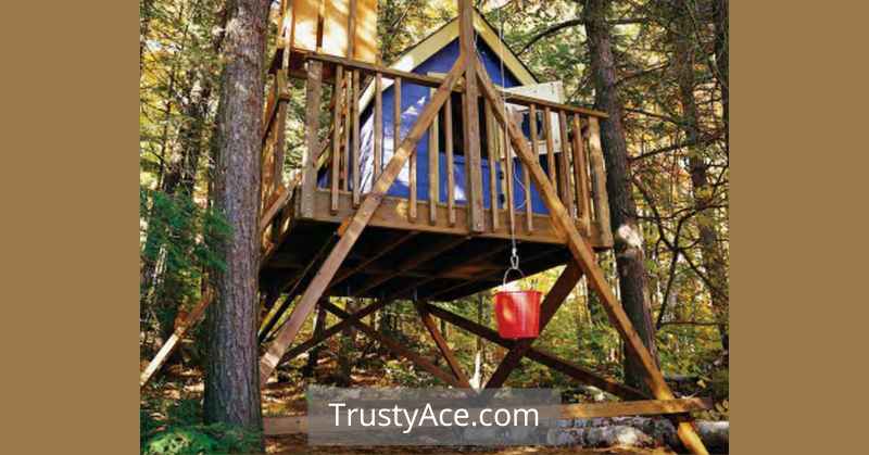 Luxury Treehouse Ideas