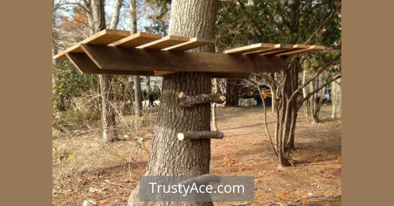 Easy DIY Treehouse Ideas