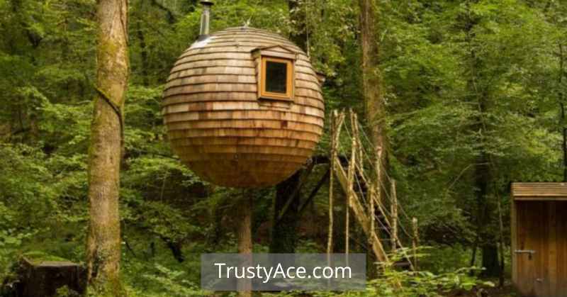 Treehouse Ideas For Adults