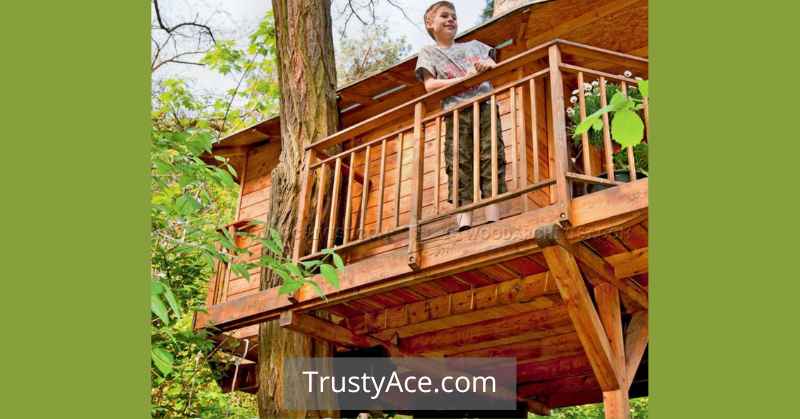 Cool Tree House Ideas