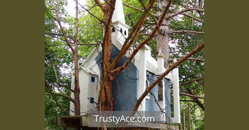 How To Build A Backyard Treehouse In One Day