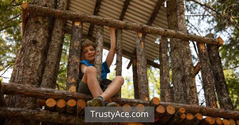 How To Build A Backyard Treehouse Ideas