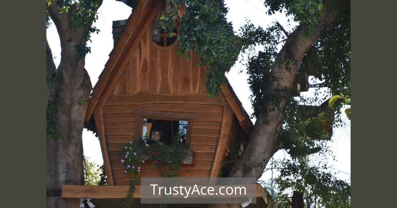 Easy Treehouse Ideas