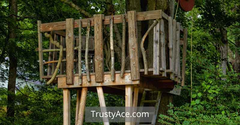 DIY Treehouse Ideas