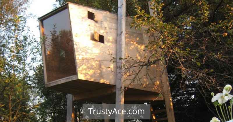 Modern Tree House Ideas