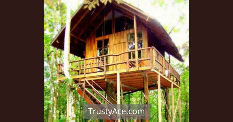 Backyard Treehouse On Stilts