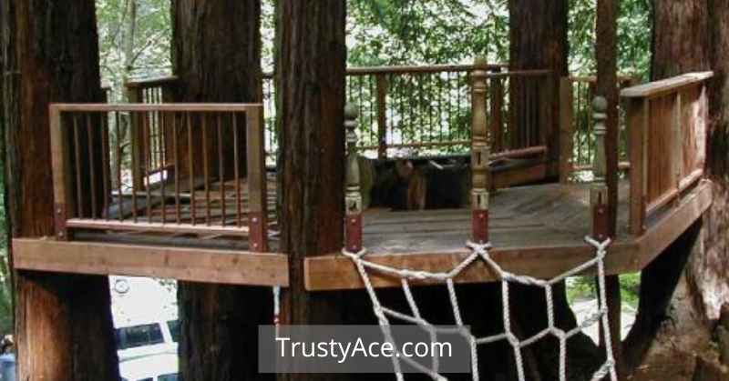 Tree Stump Tree House Ideas