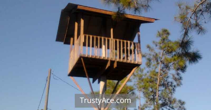 Creative Treehouse Ideas