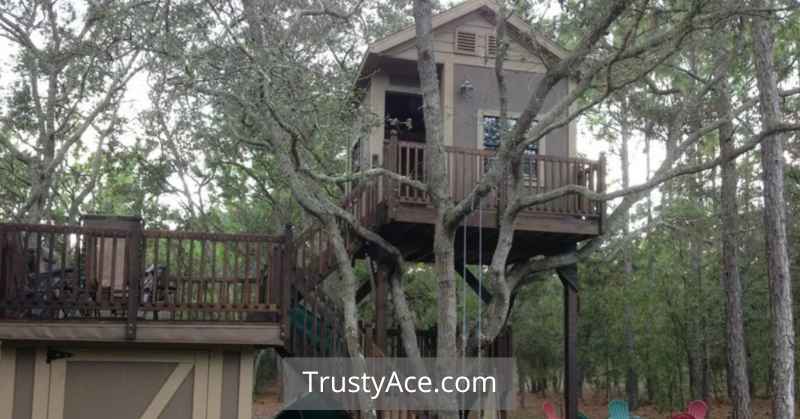 Treehouse Cabins Ideas