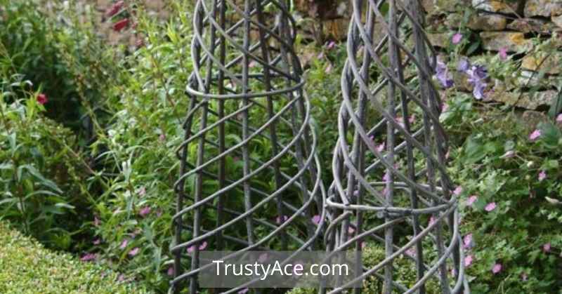 Cone Shaped Garden Trellis Ideas