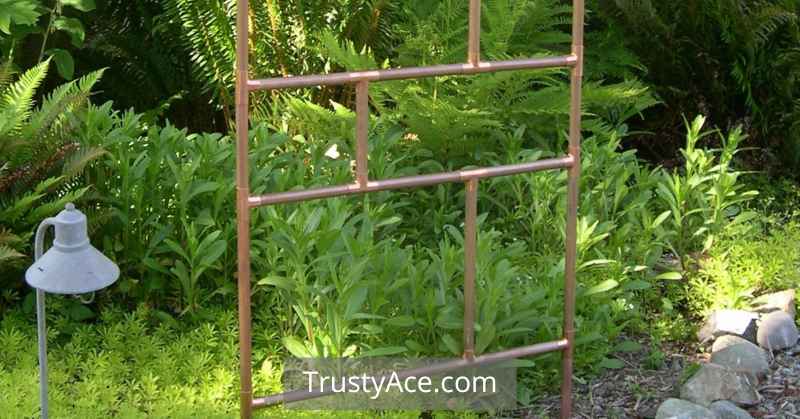 Copper Pipe Trellis Ideas