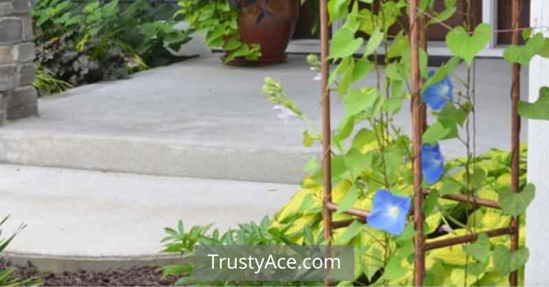 Trellis Ideas Copper Pipe