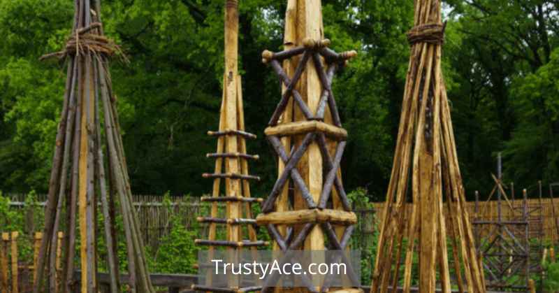 Garden Teepee Trellis